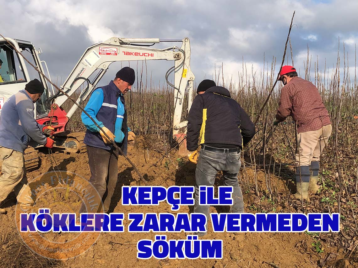 kepce ile sokum
